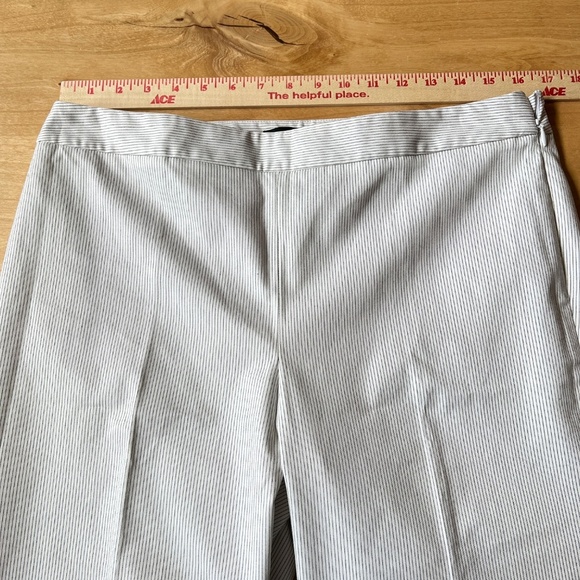 TALBOTS CHATHAM ANKLE PANT 8 STRIPED SLIM LEG SIDE ZIP ANKLE LENGTH COASTAL CHIC - Picture 8 of 11